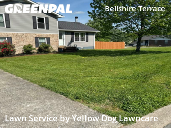 Grass Cutting nearby Nashville, TN, 