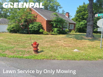 Lawn Care Service nearby Schenectady, NY, 