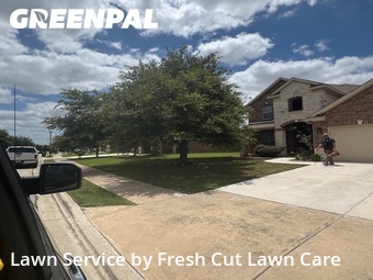 Grass Cut nearby Pflugerville, TX, 