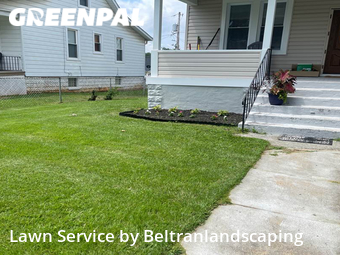 Grass Cut nearby Baltimore, MD, 