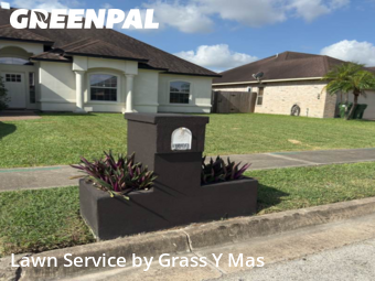 Landscaping Companies In Brownsville,78526,Landscaping by Grass Y Mas , work completed in Nov , 2025