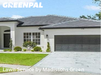 Yard Management in Lake Worth, 33467, Yard Grooming by Madissons Green, work completed in Dec , 2025