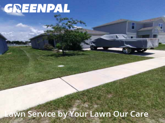 Lawn Mow nearby Winter Haven, FL, 