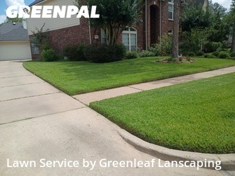 Yard Cutting nearby Pearland, TX, 
