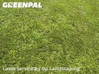 Grass Cutting nearby Matthews, NC, 