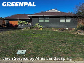 Lawn Cutin Richardson,75080,Grass Cutting by Alfas Landscaping, work completed in Feb , 2026