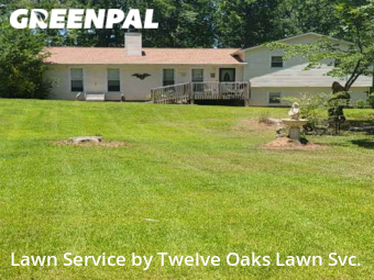 Yard Cutting in Newnan, 30263, Backyard Mowing by Twelve Oaks Lawn Svc., work completed in Nov , 2025