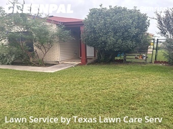 Grass Cutting nearby San Antonio, TX, 