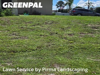 Lawn Mow nearby Lehigh Acres, FL, 