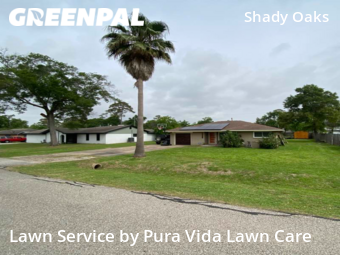 Lawn Cut nearby La Porte, TX, 