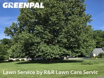 Yard Mowingin Murfreesboro,37153,Lawn Mowing Service by R&R Lawn Care Servic, work completed in Jun , 2026