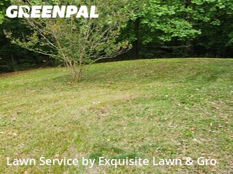 Lawn Service nearby Bowie, DC, 