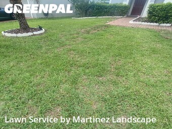 Grass Cut nearby Minneola, FL, 
