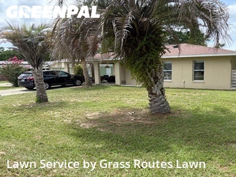 Lawn Mow nearby Ocala, FL, 