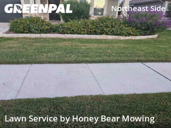 Lawn Care Servicein Schertz,78154,Yard Cutting by Honey Bear Mowing, work completed in Nov , 2025