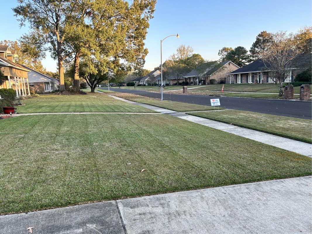 Manicured Lawns Lawn Care Services in Baton Rouge, LA