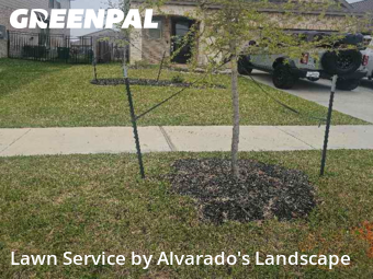 Lawn Carein Porter,77365,Lawn Mowing by Alvarado's Landscape, work completed in Nov , 2025