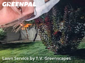 Lawn Mowing Service nearby Nampa, ID, 