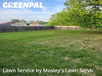 Grass Cutting nearby Clarksville, TN, 