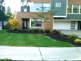 Grass Care in Sammamish, 98074, Turf Services by Lopez Lawnz, work completed in Oct , 2025