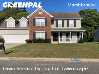 Lawn Maintenance nearby Matthews, NC, 