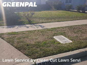 Grass Cut nearby Fresno, CA, 