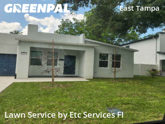 Lawn Cut nearby Tampa, FL, 