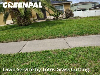 Yard Cutting nearby Apopka, FL, 
