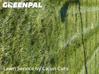 Lawn Maintenance nearby Murfreesboro, TN, 