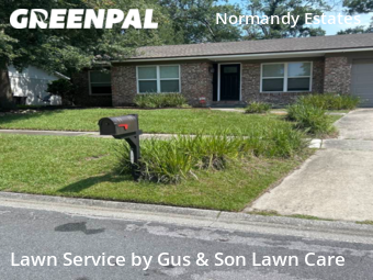 Grass Cut nearby Jacksonville, FL, 