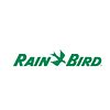 Rain Bird