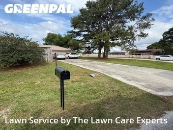 Lawn Mow nearby Winter Haven, FL, 