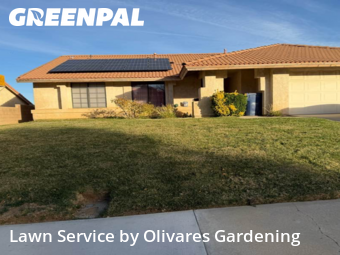 Landscaping Renovation In Palmdale,93551,Landscaping Maintenance by Olivares Gardening , work completed in Dec , 2025