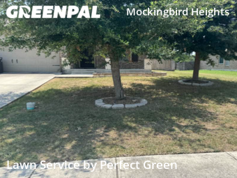 Lawn Maintenance nearby New Braunfels, TX, 