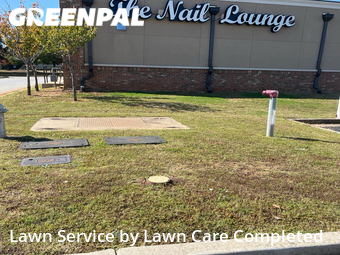 Lawn Cutting nearby Mc Donough, GA, 