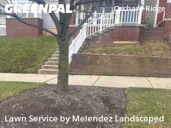 Grass Cut nearby Baltimore, MD, 