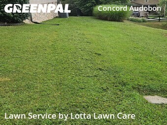 Lawn Mowing Service nearby Chattanooga, TN, 