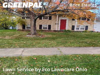 Lawn Work in Reynoldsburg, 43068, Grass Care by Eco Lawncare Ohio, work completed in Nov , 2025