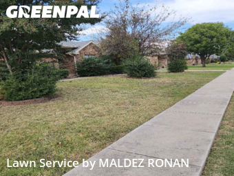 Lawn Mowing Servicein Lewisville,75067,Grass Cutting by MALDEZ RONAN, work completed in Dec , 2025