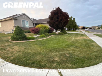 Yard Services in Clearfield, 84015, Yard Upkeep by Lawn More, work completed in Nov , 2025