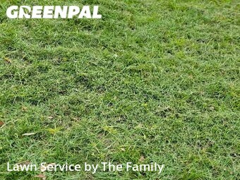 Lawn Maintenance nearby Orlando, FL, 
