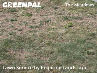 Lawn Management in Castle Rock, 80109, Yard Cutting by Inspiring Landscape, work completed in Oct , 2025