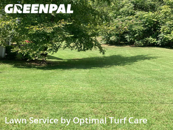 Lawn Mowing Service nearby Nashville, TN, 