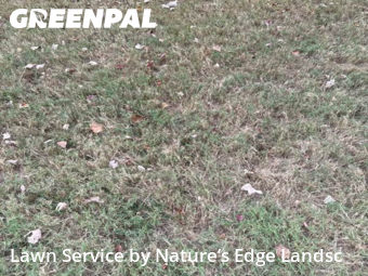 Lawn Mowing nearby Birmingham, AL, 