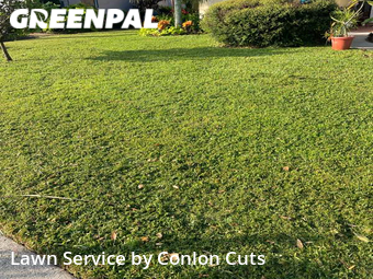Lawn Service nearby Bradenton, FL, 