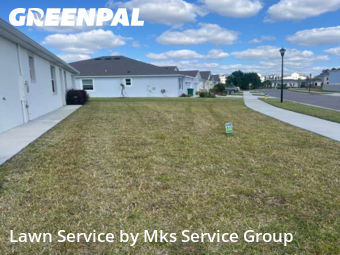Lawn Servicein Wesley Chapel,33543,Grass Cut by Mks Service Group, work completed in Nov , 2025