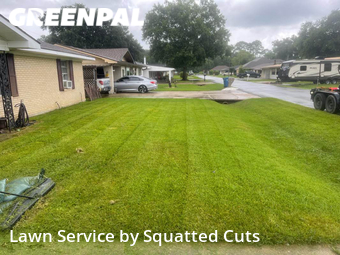 Yard Cutting nearby Lafayette, LA, 