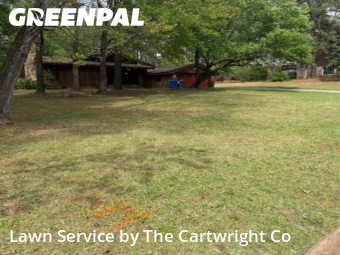 Grass Cut nearby Fayetteville, NC, 