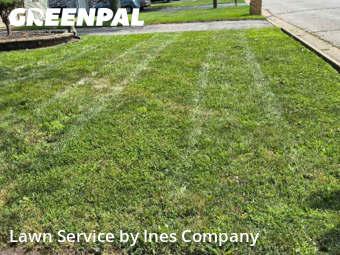 Yard Management in Oak Forest, 60452, Garden Trimming by Ines Company, work completed in Oct , 2025