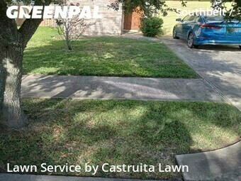 Grass Cut nearby Houston, TX, 